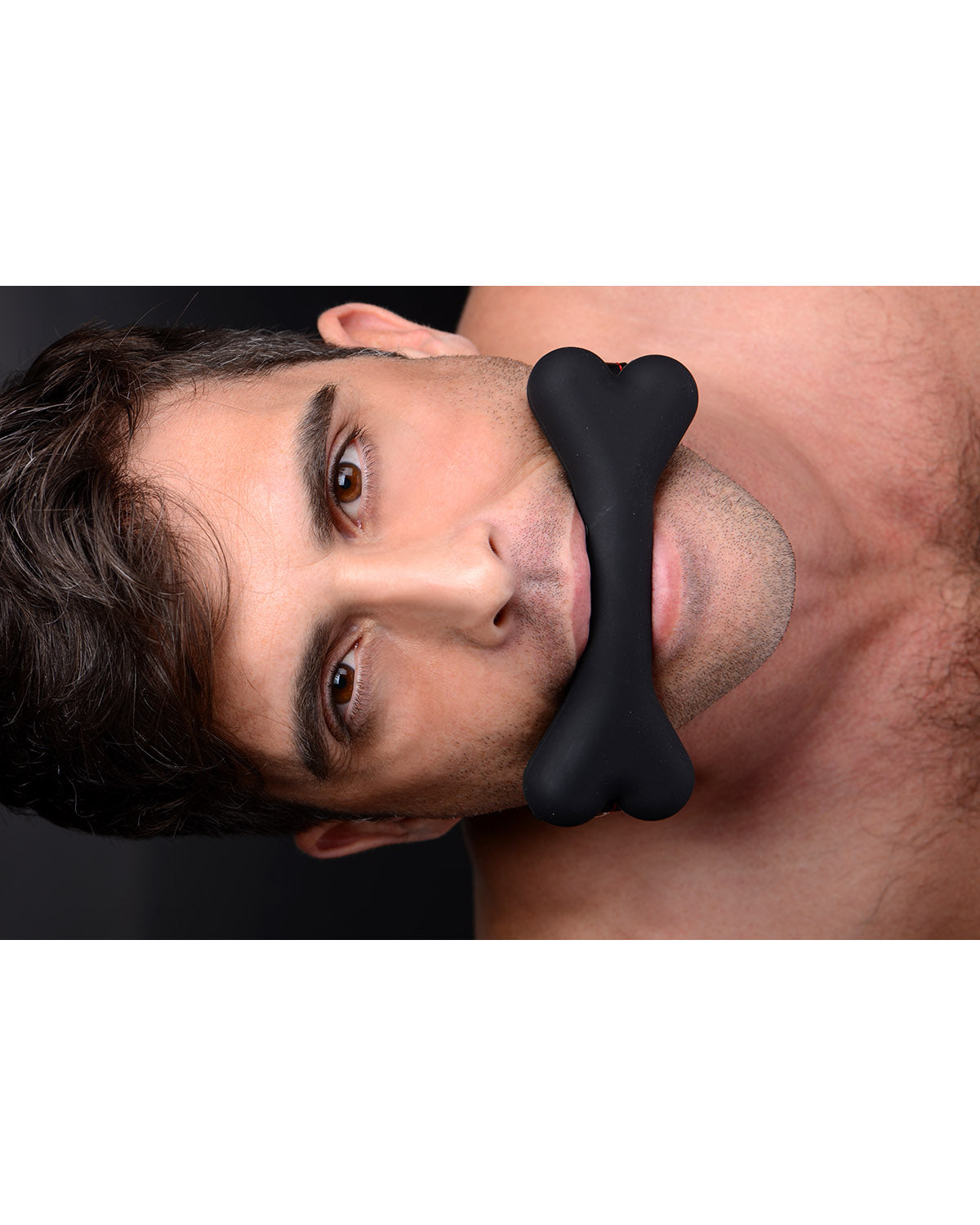 XR Brands Hound Adjustable Dog Bone Gag knebel w kształcie kości czarny