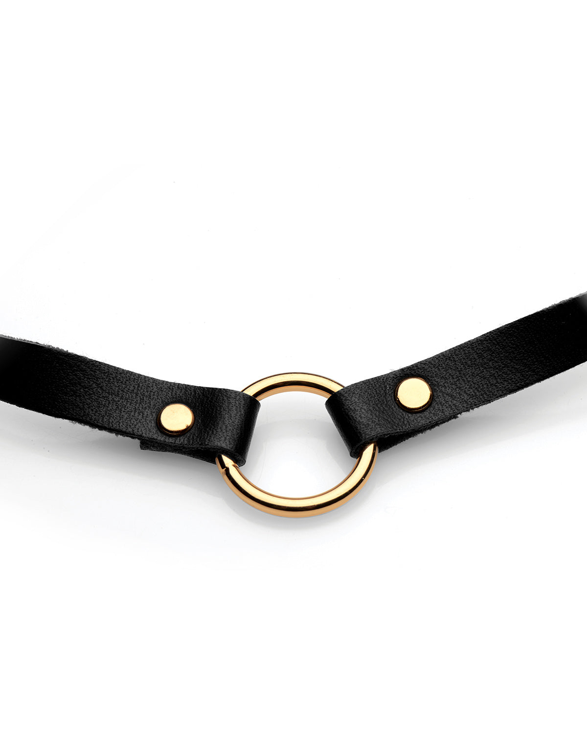 XR Brands Posh Pet Gold Ring czarny choker ze złotym ringiem